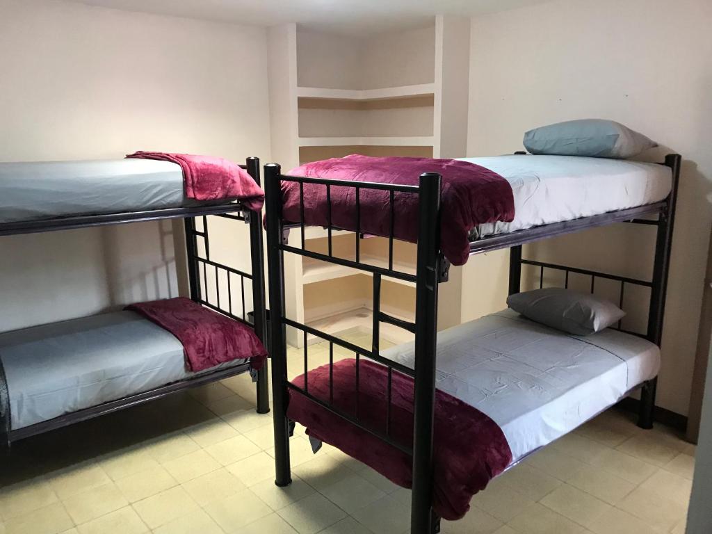 a group of bunk beds in a room at Santísimo Hostal Boutique in Oaxaca City