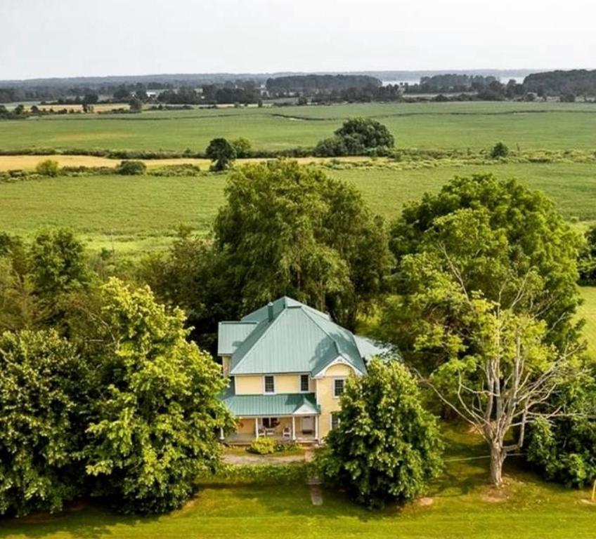 eine Luftansicht eines Hauses inmitten von Bäumen in der Unterkunft Runaway Bay Guest House in Hillier