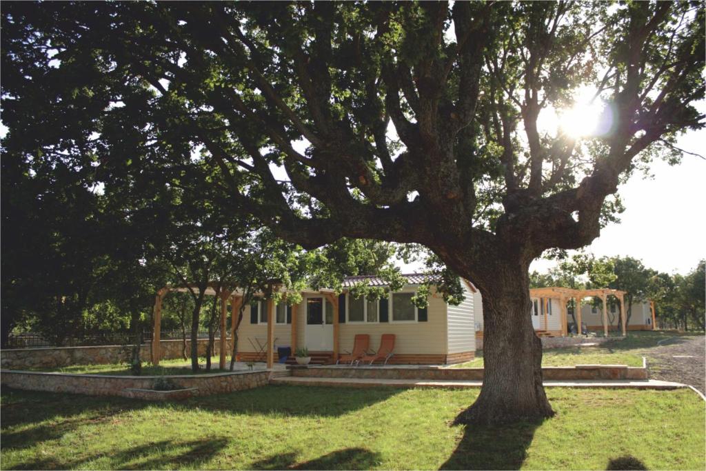 a campsite with a tree in front of it at Micanovi Dvori Mobile Home Village Zrmanja in Obrovac