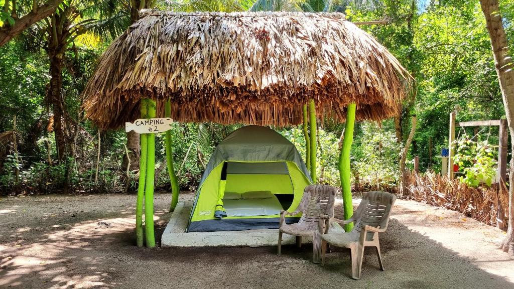 ein kleines Zelt mit zwei Stühlen und einem Strohdach in der Unterkunft Eco-Camping El Frutal in Isla Grande