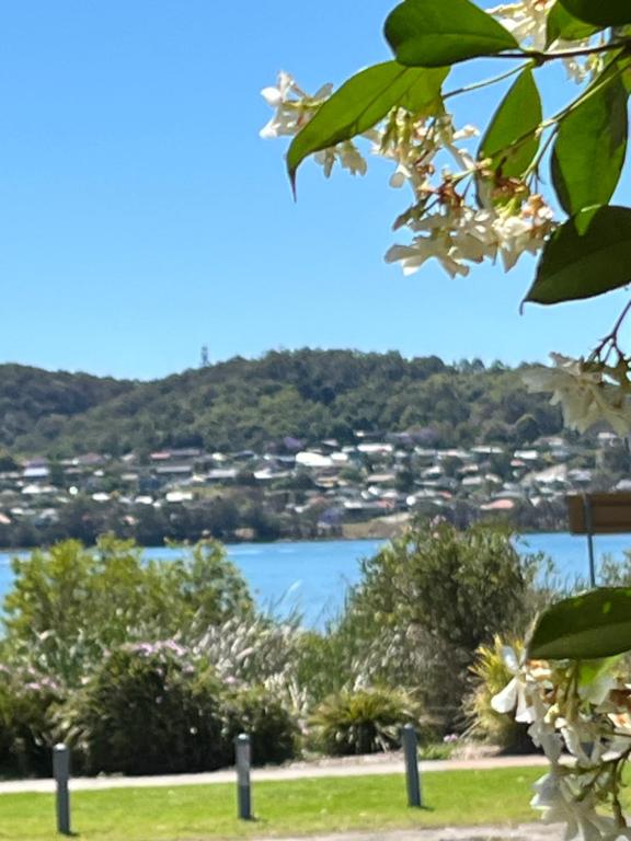 a view of the lake from the park at By the Lake - Lake Macquarie in Teralba