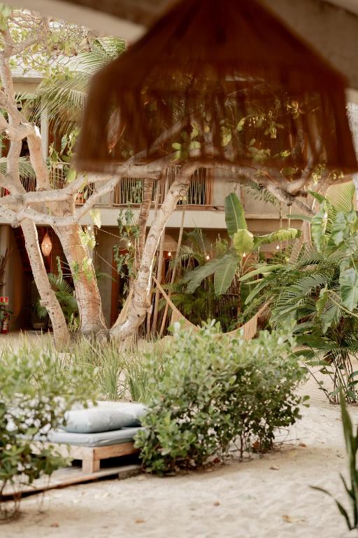 a garden with a tree and a bench in front of a building at Villa Mango Jeri in Jericoacoara