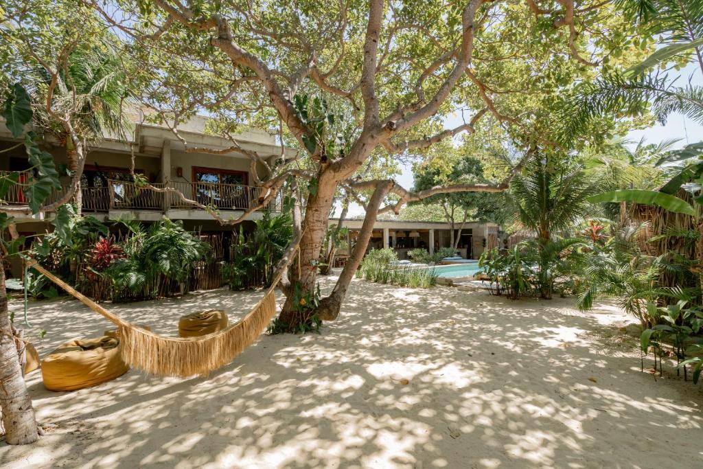 a hammock in front of a house with trees at Villa Mango Jeri in Jericoacoara
