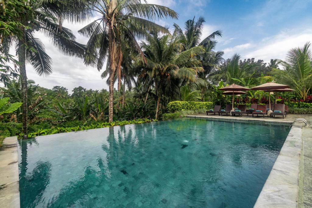 Bazén v ubytování Pertiwi Bisma Ubud nebo v jeho okolí