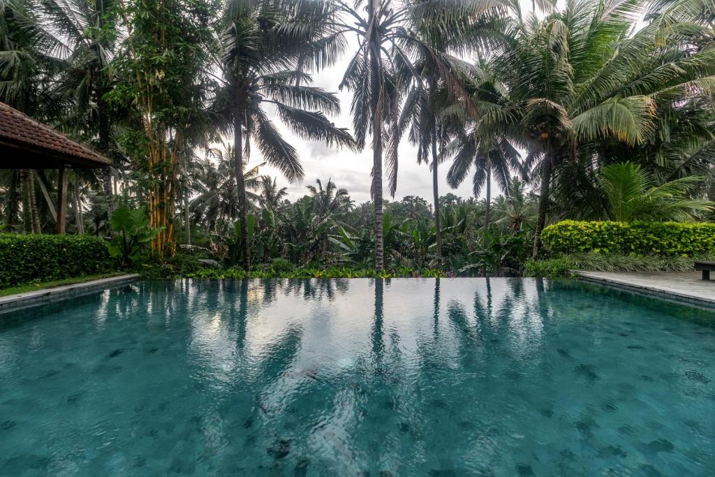 Bazén v ubytování Pertiwi Bisma Ubud nebo v jeho okolí