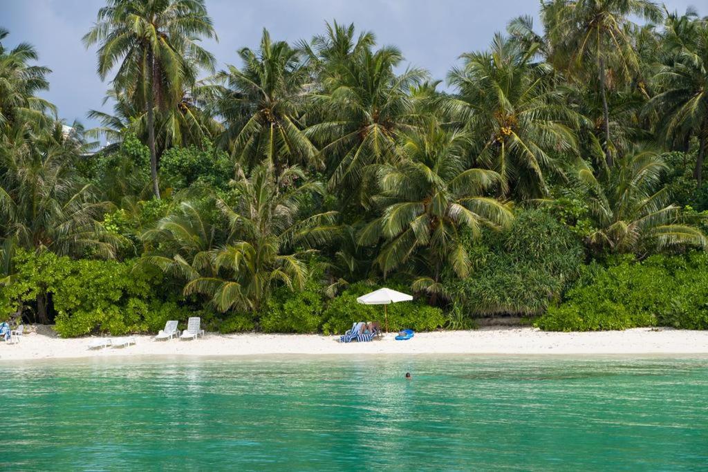 a beach with palm trees and chairs and an umbrella at Oceana Inn Maldives in Kudahuvadhoo