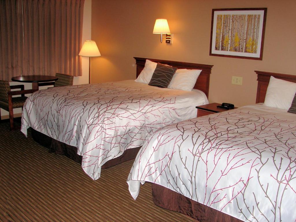 Stagecoach Inn & Suites - 豪华大号床间 - 带两张大号床