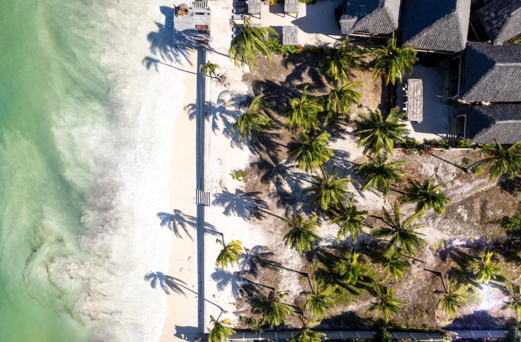 - une vue aérienne sur une plage bordée de palmiers dans l'établissement Shanuo Beach Bungalows, à Michamvi