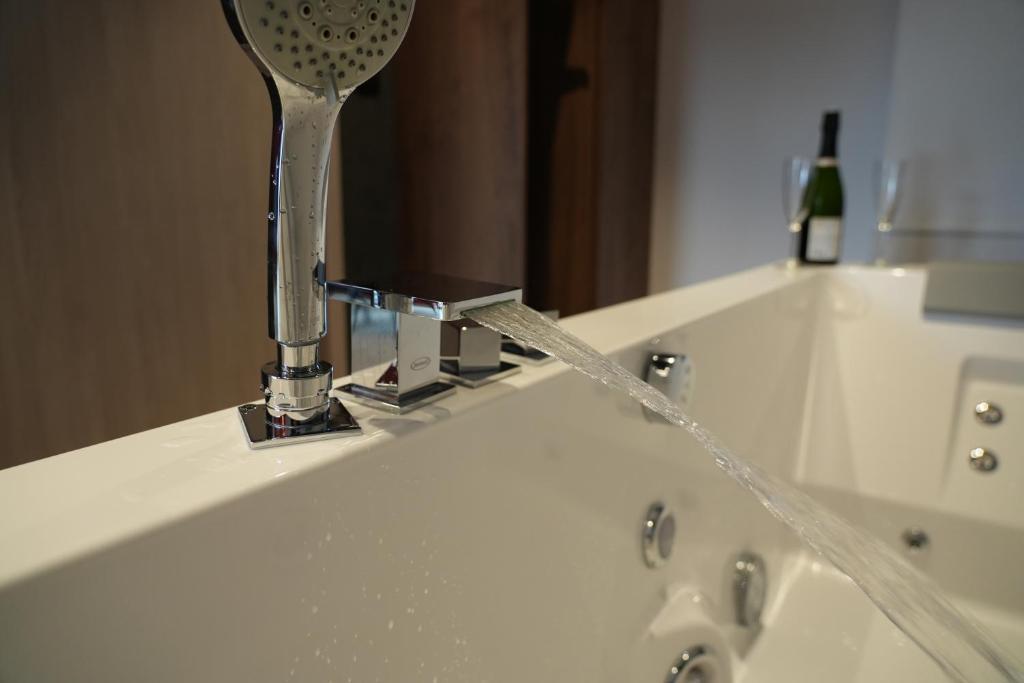 Koupelna v ubytování Gite Spa L'Atelier Emile - Spa Privatif - 5 min COLMAR