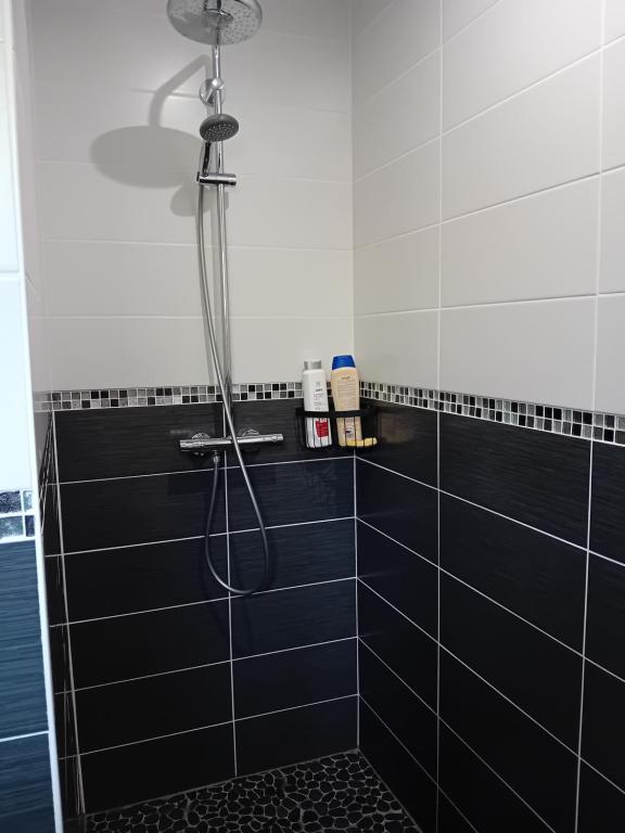 a bathroom with a shower with black tiles at Anexe in Lempdes