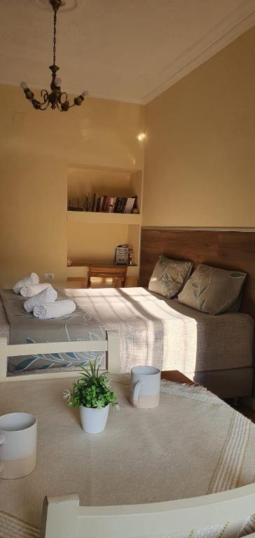 Alle's Myslym Shyri studio apartment