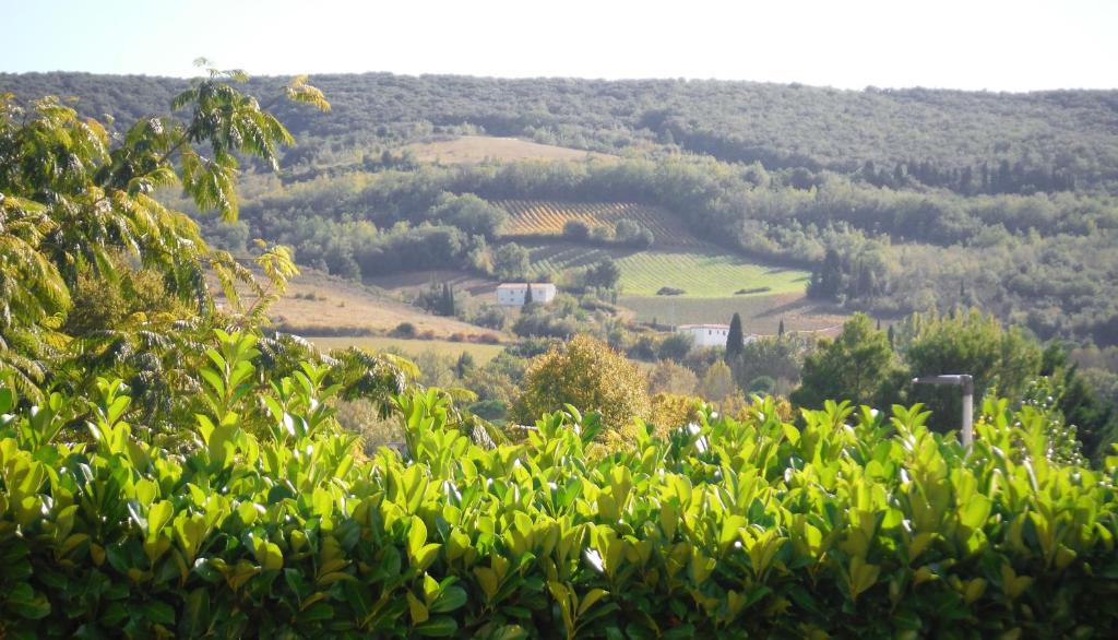 a view of the hills from the tree tops at Les Lauriers in Limoux