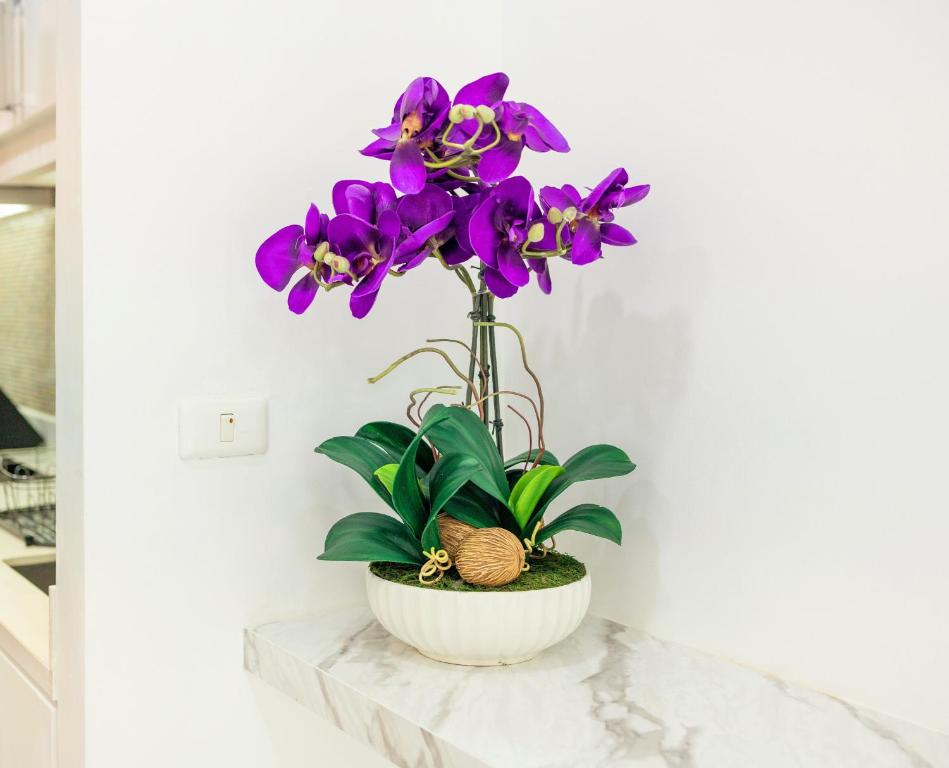 Rudi Condo by Q Conzept - Resim 20