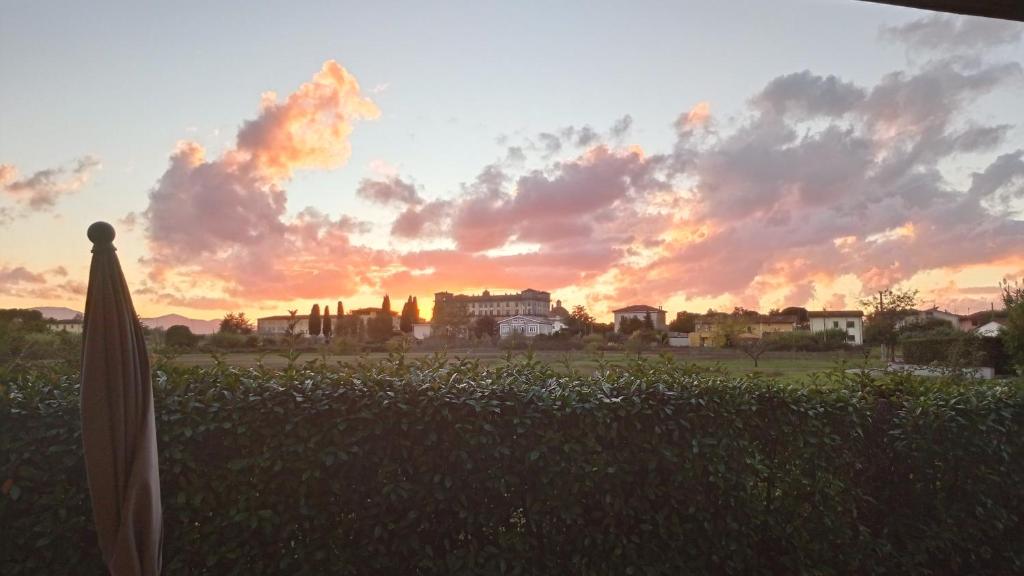 an umbrella in a field with a sunset in the background at Giardino del sole, con Wi-Fi, smart TV, aria condizionata in Borgo a Buggiano