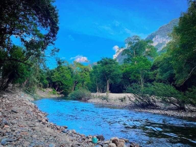 考索的住宿－Khaosok August Freedom Camp，一条河,河面上有蓝色的海水和树木