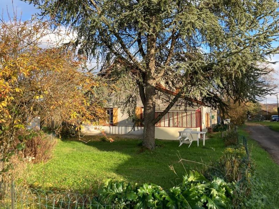 a house with a tree in the yard at La maison du Cèdre in Châteauneuf-Val-de-Bargis