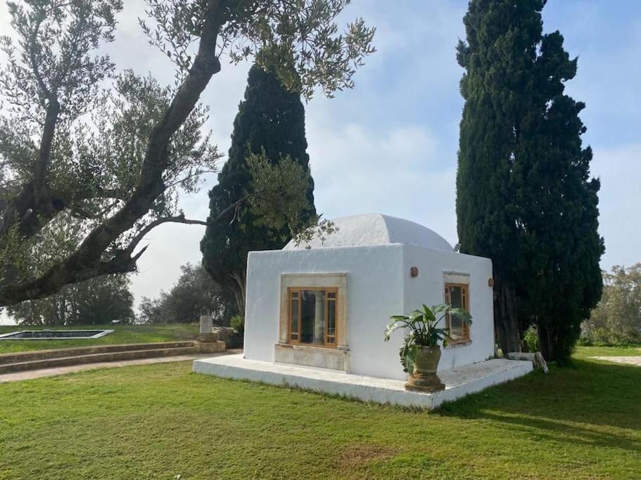 Zahrada ubytování Lella Kmar B&B avec piscine Sidi Bou Said