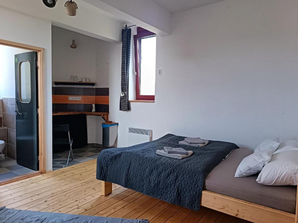 ein Schlafzimmer mit einem Bett und einem Schreibtisch in einem Zimmer in der Unterkunft ToronySzoba in Szob