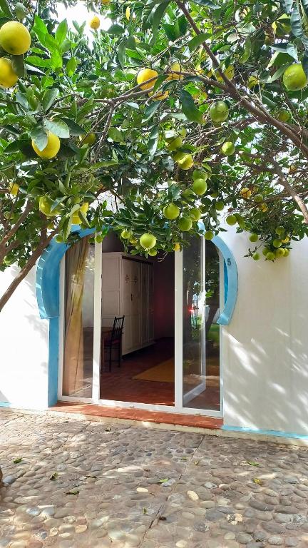 Fotografie z fotogalerie ubytování Rayani Maison d'Hôtes v destinaci Chozas