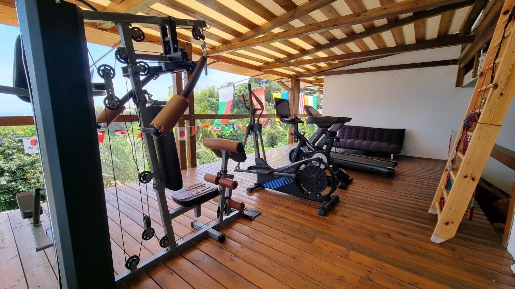 Fitnes centar i/ili fitnes sadr&#x17E;aji u objektu Villa H&eacute;l&egrave;na Chalets