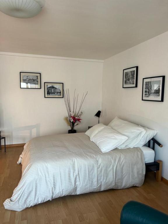 Schweiz (301) - Resim 16