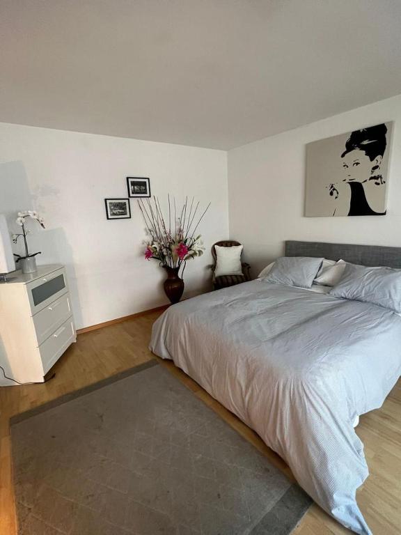 Schweiz (302) - Resim 13