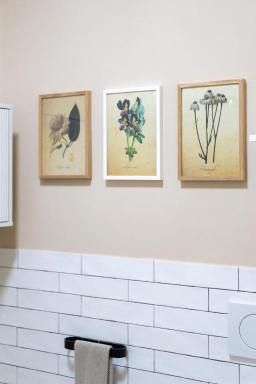 Fotografie z fotogalerie ubytování Amagi Home v destinaci Montecchia di Crosara