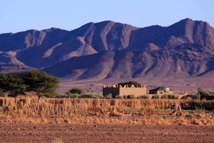 a house in a field with mountains in the background at Auberge chez hammadi in Zagora