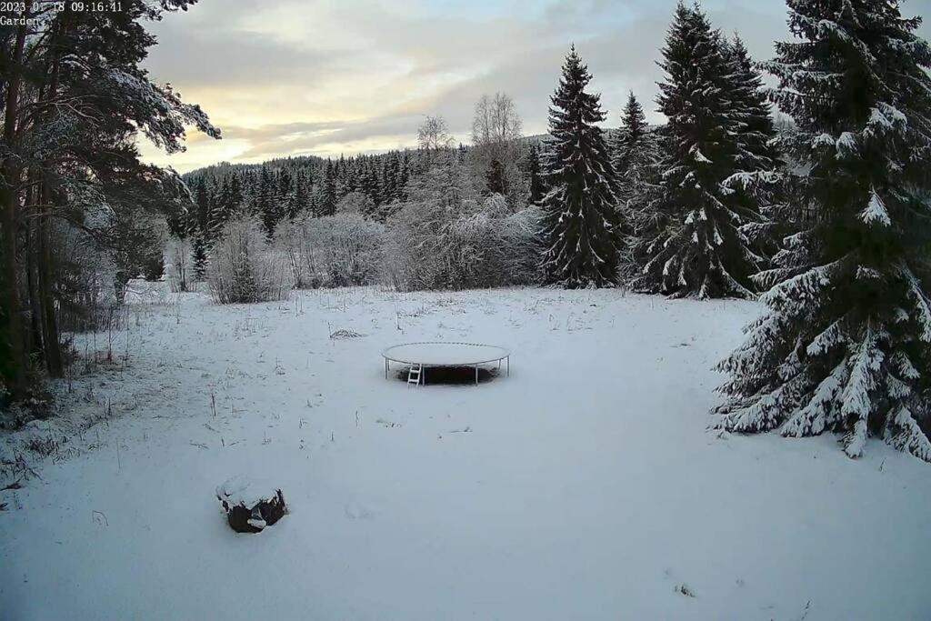 Fritidshus Hammare Hagfors v zimě