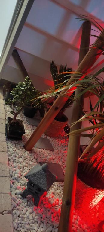 Les Souvenirs d'Alsace - 8