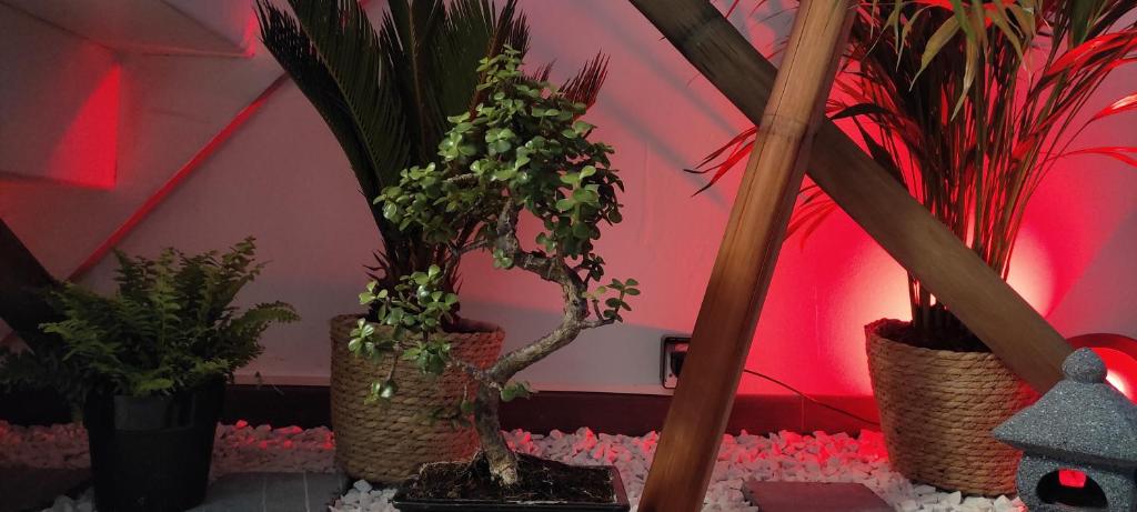 Les Souvenirs d'Alsace - 7