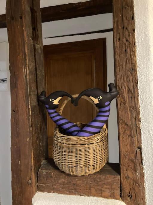 La Sorcière in a typical Alsatian house – photo 14