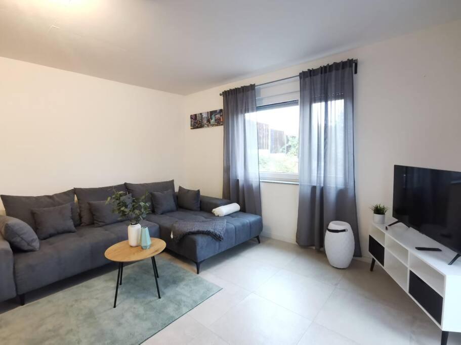 TV a/nebo společenská místnost v ubytování LOOT: Moderne Wohnung / Zentral