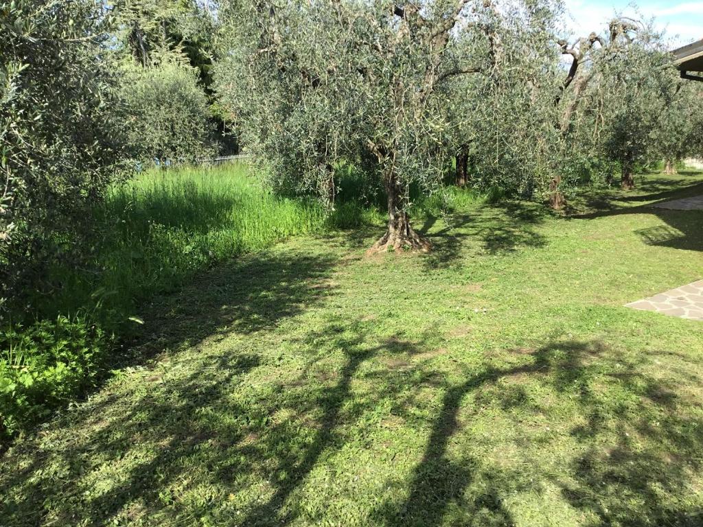 A garden outside Bio Forester