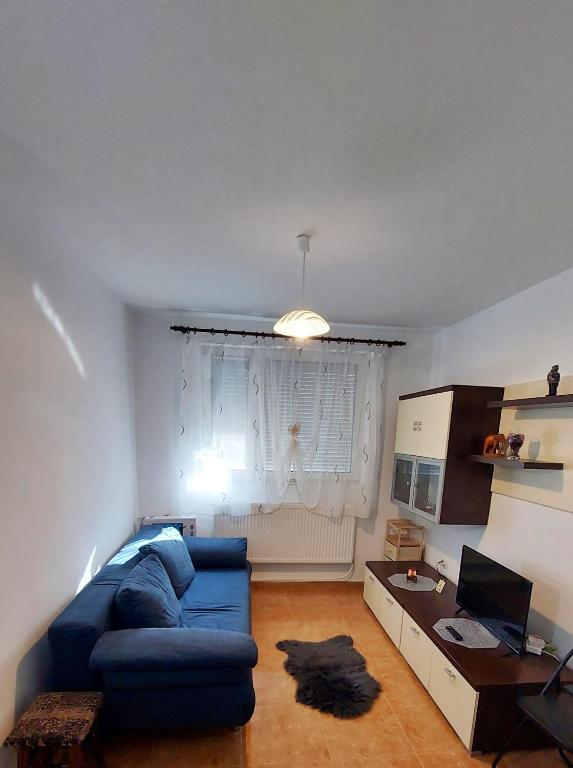 a living room with a blue couch in front of a window at Cristina's place Arad in Arad