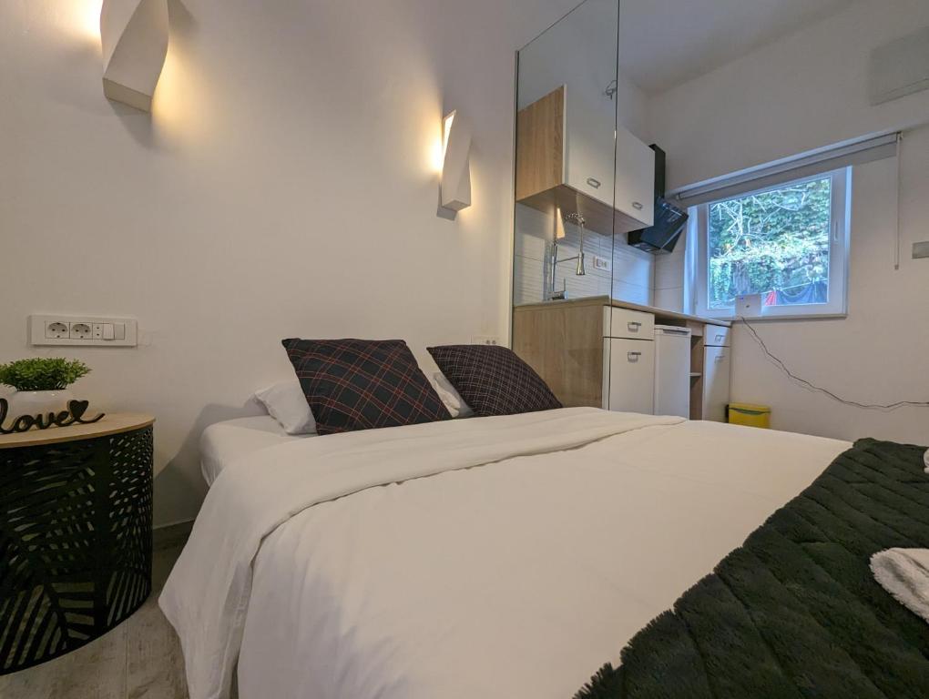 Il comprend une petite chambre avec deux lits et une cuisine. dans l'établissement Cozy Maksimir Condo w Washer-Dryer & 65'' TV, à Zagreb