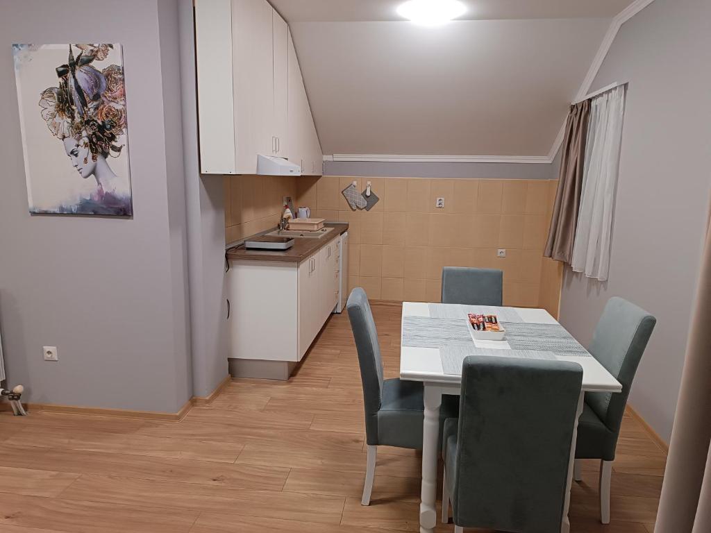 Kuchyň nebo kuchyňský kout v ubytování Apartman Ana