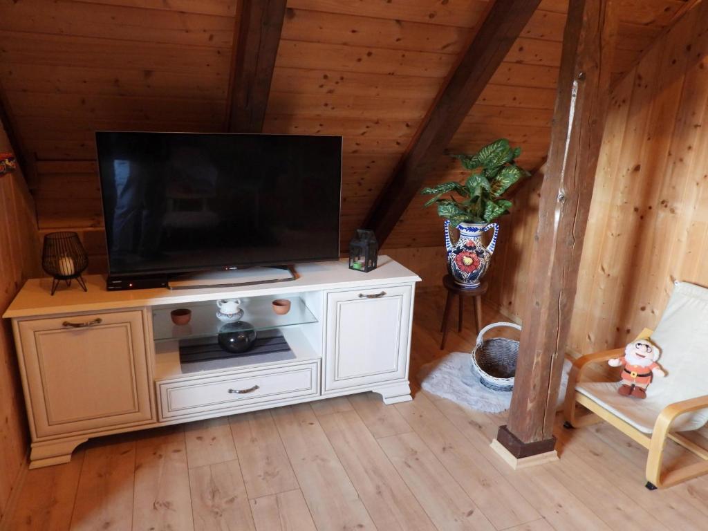 TV a/nebo společenská místnost v ubytování Kuća za odmor Elf