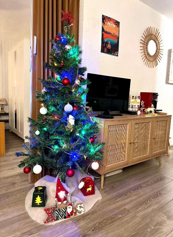Telewizja i/lub zestaw kina domowego w obiekcie Appartement cosy Centre station de Super Besse pour 2 à 6 personnes