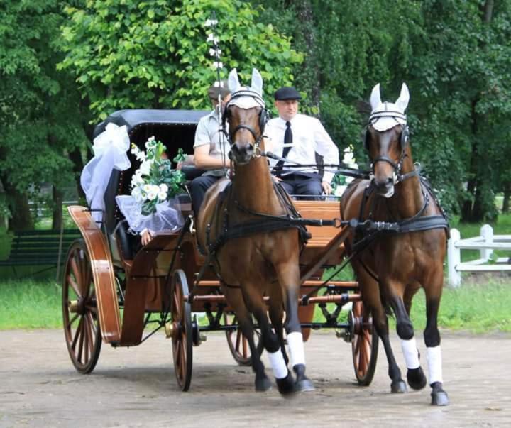 una pareja montando en un carruaje tirado por caballos en Noclegi Przy Stadninie, en Janów Podlaski