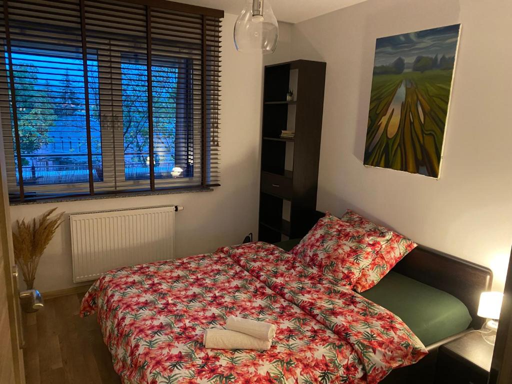 Fotografie z fotogalerie ubytování Dyrekcyjna Apartment ve Vratislavi
