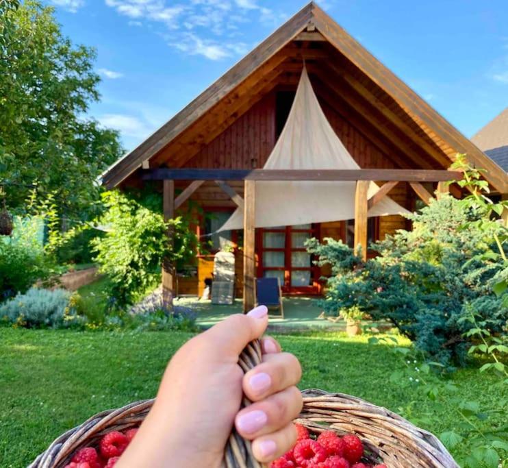 een hand van een persoon met een mand aardbeien voor een huis bij Málnás Vendégház-Raspberry Guesthouse in Nagymaros