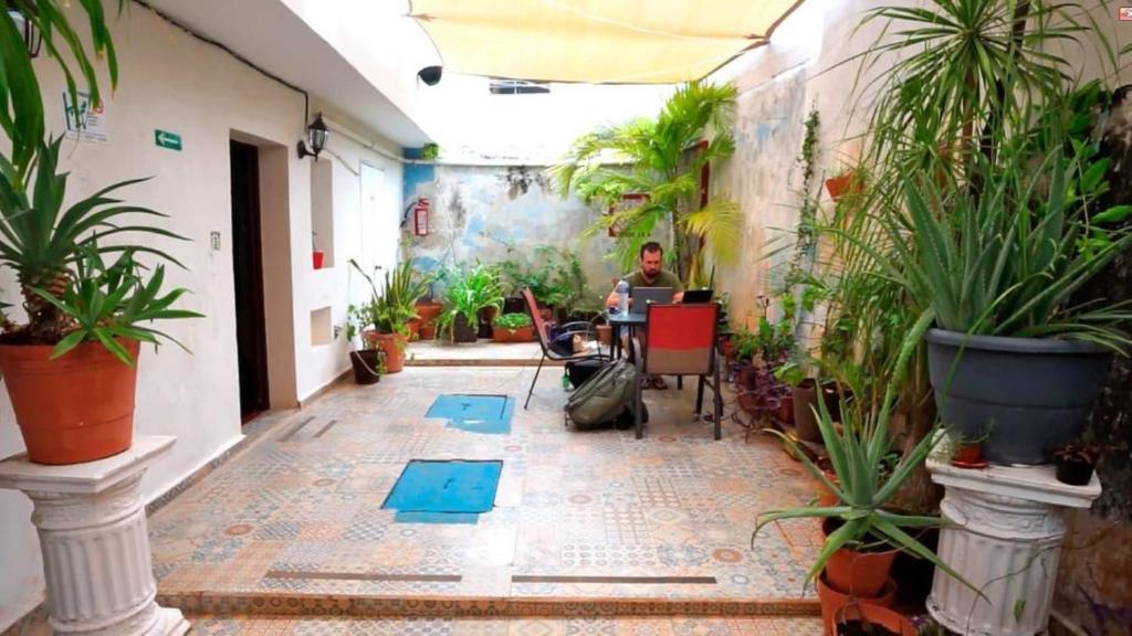 a man sitting at a table in a room with plants at Balamku Hotel Petit in Campeche