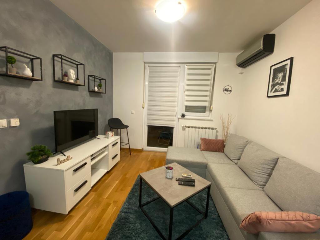 een woonkamer met een bank en een tv bij Affordable Apartments 8 in Zagreb