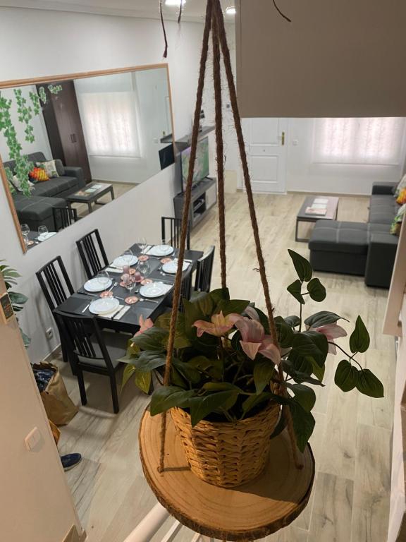 una planta en una cesta en una sala de estar en Bien comunicado, acogedor y confortable en Coslada