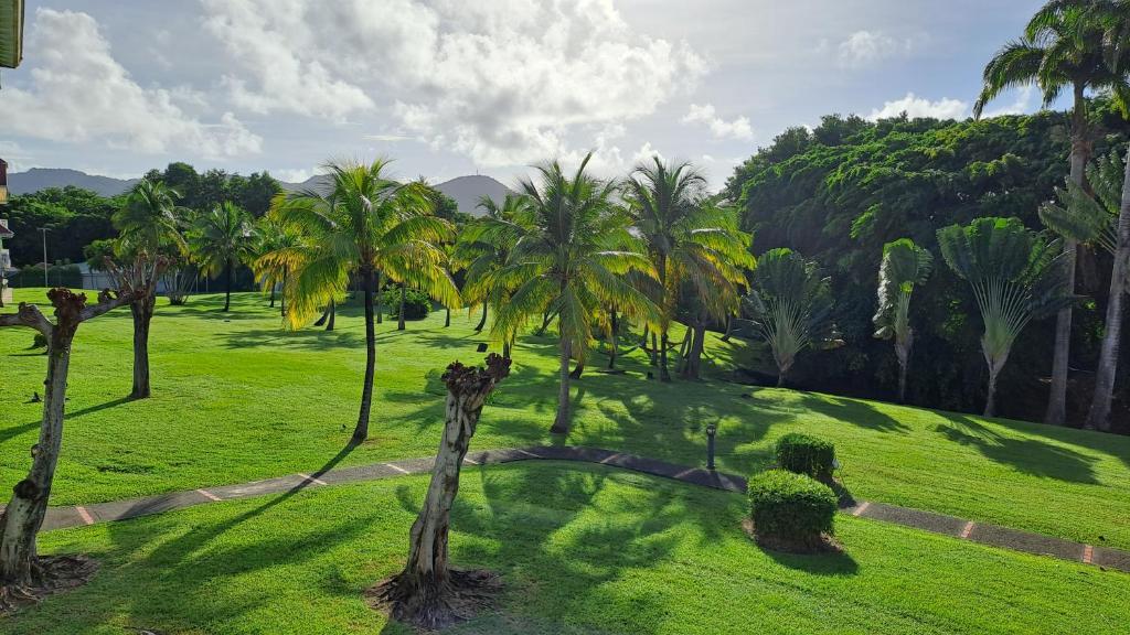 a park with palm trees and a green field at Les Frangipaniers in Sainte-Luce