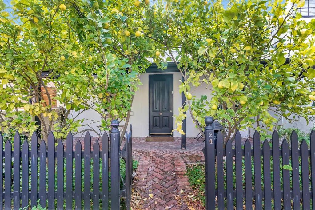 a black fence in front of a house with trees at 'The Lemon Tree' North Adelaide Character Cottage in Adelaide