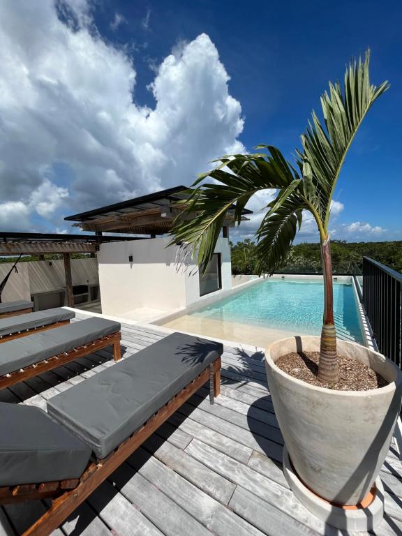 a palm tree sitting on a deck next to a swimming pool at Arena Tuane in Tulum