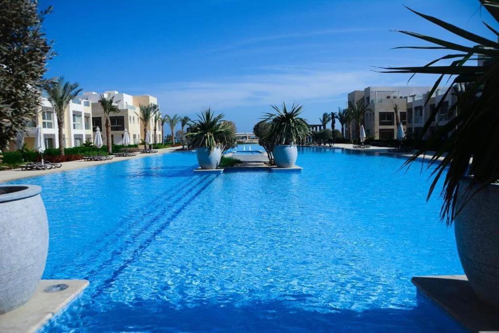 a large blue swimming pool with palm trees and buildings at One Bedroom - Mangroovy El Gouna in Hurghada