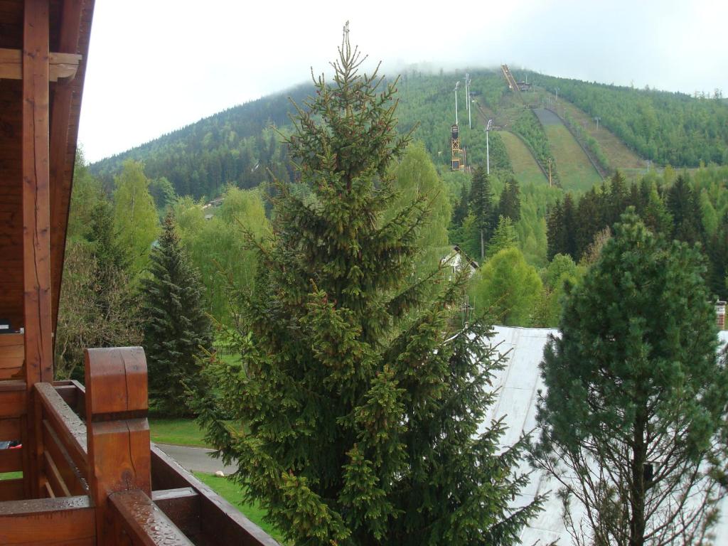 Widok na góry z tego hotelu